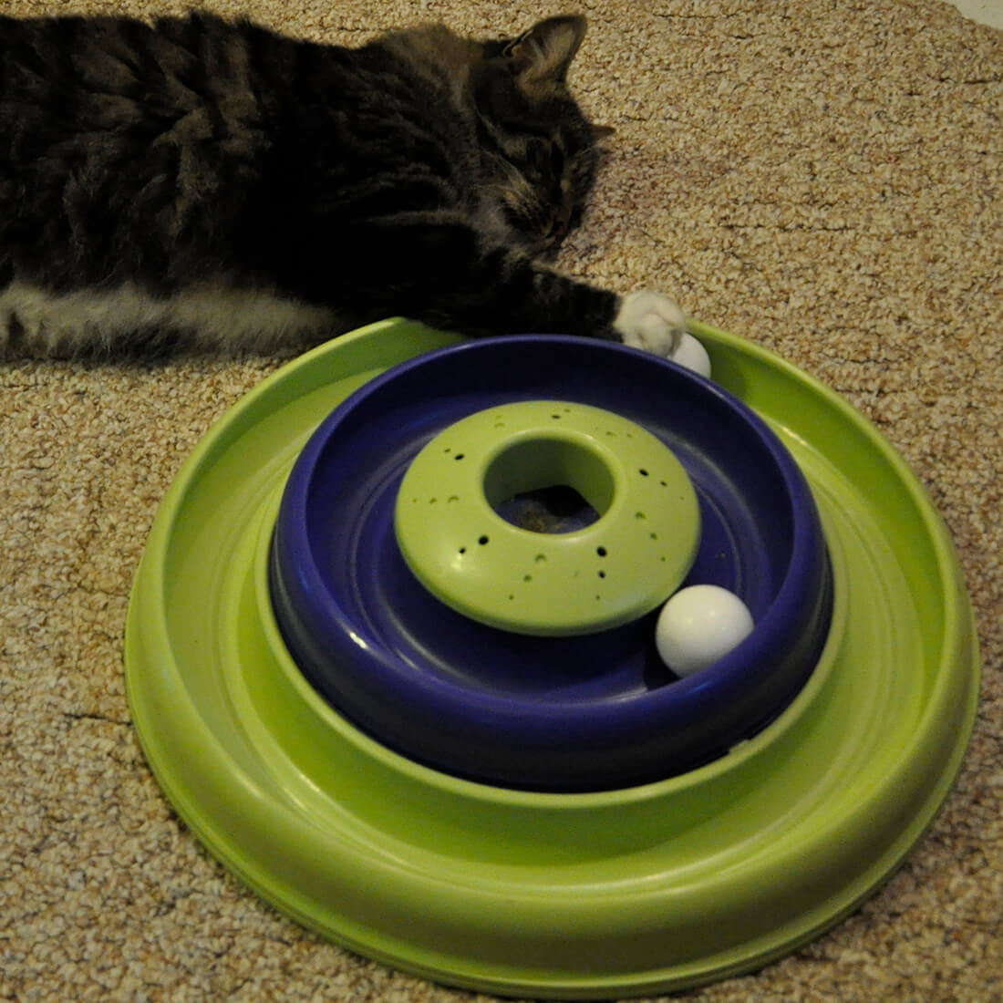 Catnip Hurricane Cat Toy