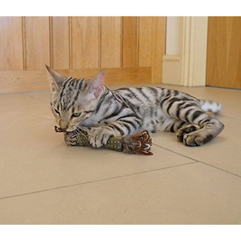 Catnip “Johnny Sticks” with Double Side Natural Feather