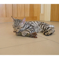 Thumbnail for Catnip “Johnny Sticks” with Double Side Natural Feather