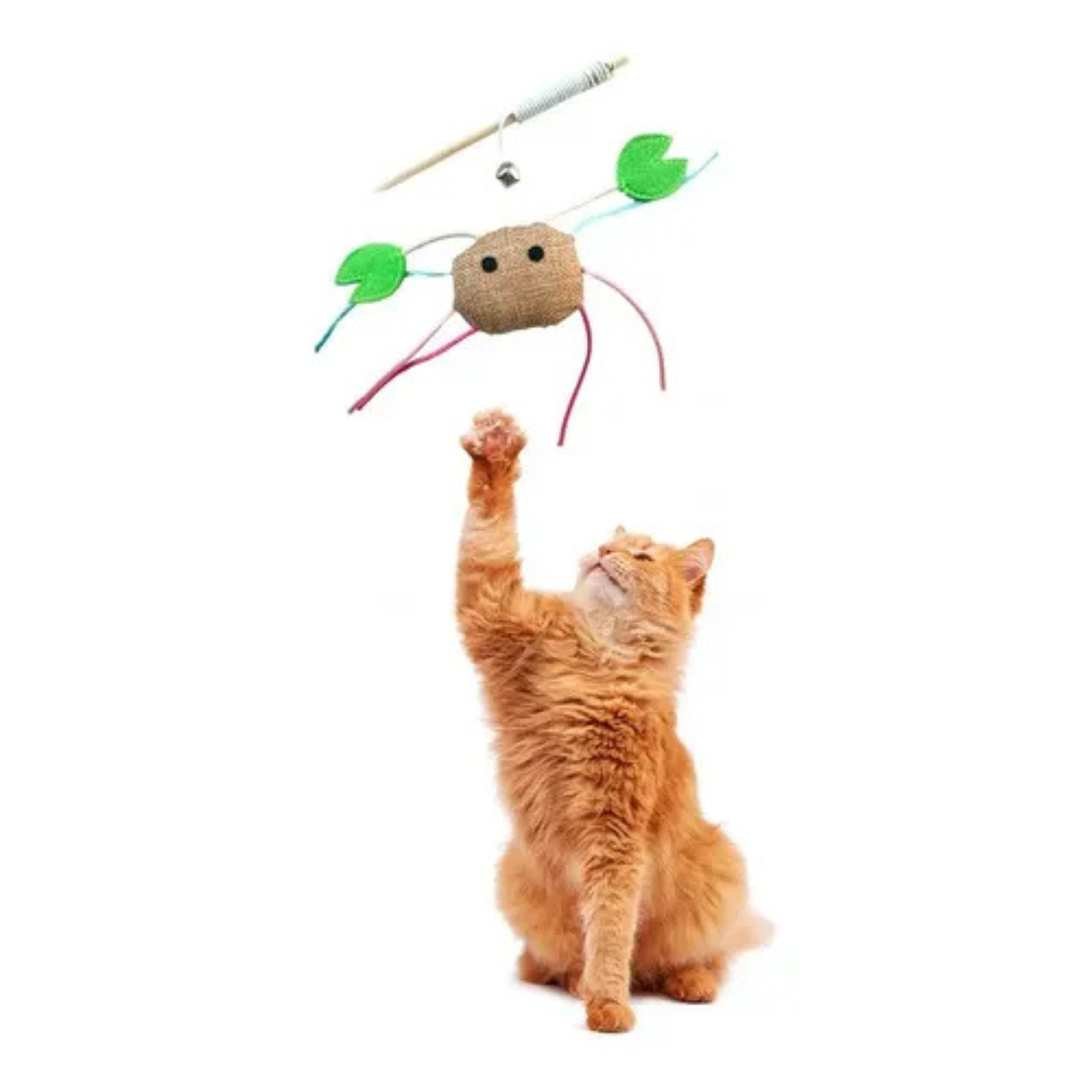 Catry Cat Toy