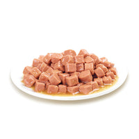 WANPY Holistic Formulation – Chicken Chunk 375g