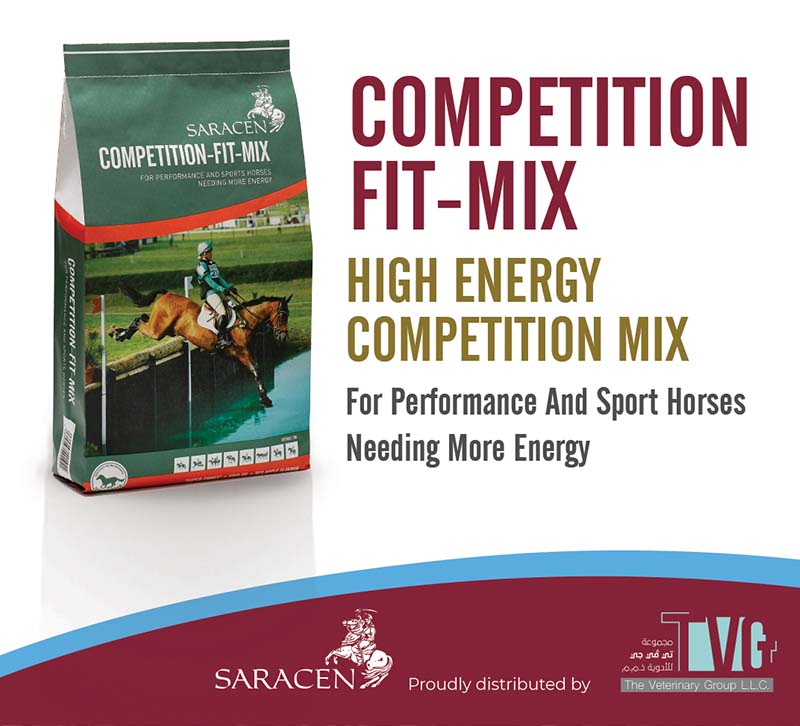 Competition-Fit-Mix