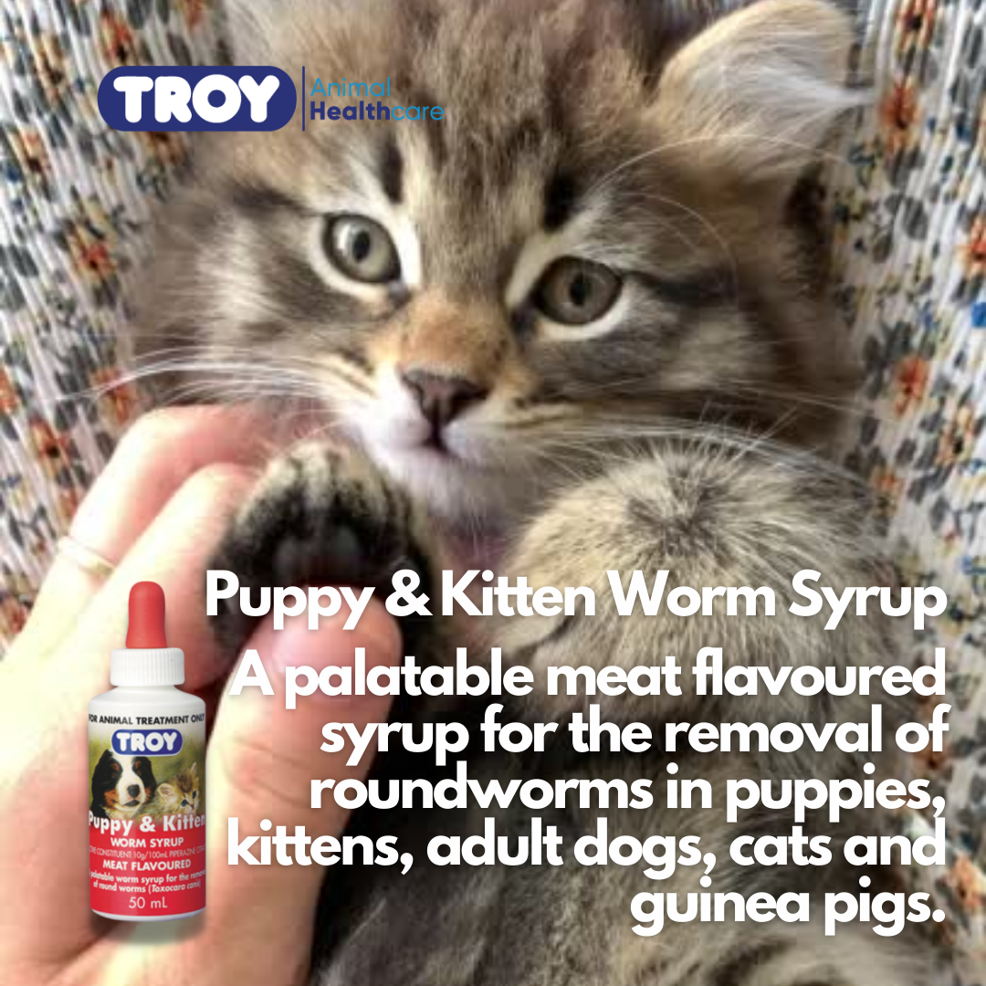 Troy Puppy and Kitten Worm Syrup 50ml