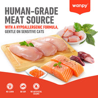 WANPY Crunchy Pocket Chicken Recipe