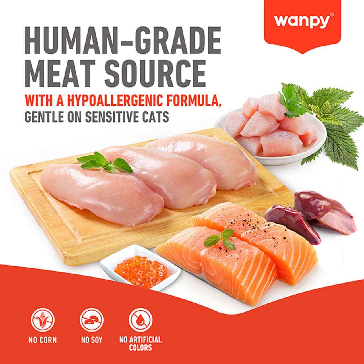 WANPY Crunchy Pocket Catnip & Chicken Recipe