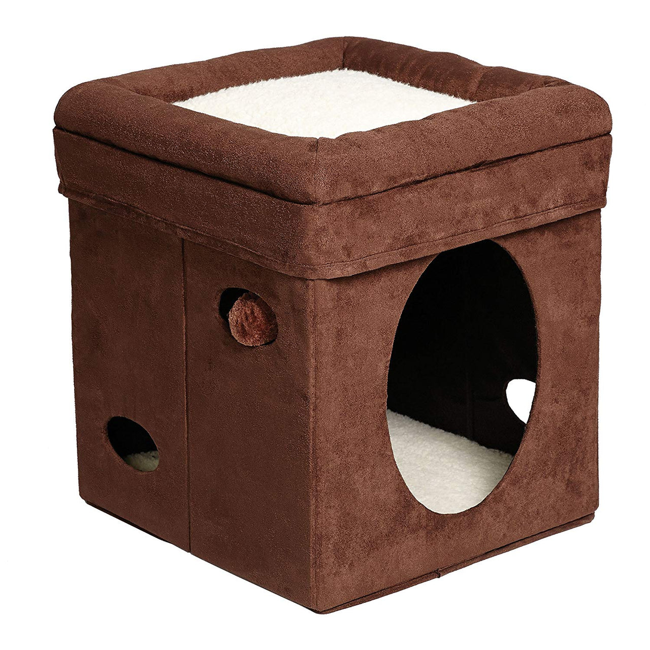 Curious Cat Cube