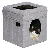 Curious Cat Cube – Silver