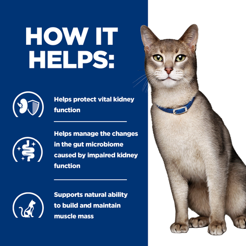 Hill’s Prescription Diet Feline k/d with Salmon (1.5kg)