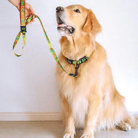 DOCO LOCO Collar - (DCL002)[Texture - Green Monster, Size - S]