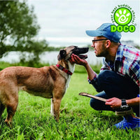DOCO Signature O - Ring Collar[Color - Maroon, Size - XS]
