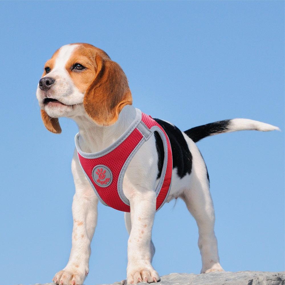 DOCO® Athletica QUICK FIT Reflective Harness XX.Small-30-34cm / 1-2kg-Black