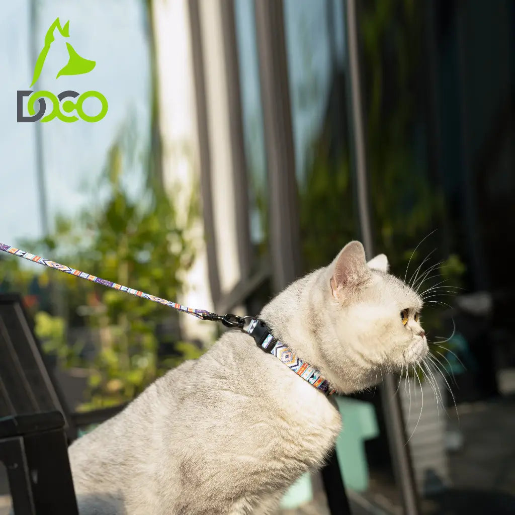 DOCO® Heat Transfer Cat/Dog Collars X.Small-1.0 X 19-31cm C3