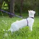 DOCO® Heat Transfer Cat/Dog Harness C3XS [Neck1x19-27cm; Chest1x28.5-46cm]