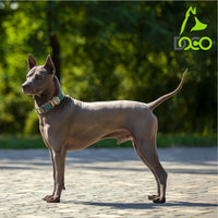 DOCO® Jacquard Weave Collar-2.5 x 34-51cm D10