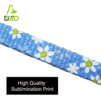 DOCO® LOCO Cat Harness + Leash 6ft [Neck1x19-27cm; Chest1x28.5-46cm] O2