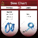 DOCO® LOCO Cat Harness + Leash 6ft [Neck1x19-27cm; Chest1x28.5-46cm] O2