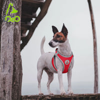 DOCO® NET Mesh Sport Harness XX.Small-30-34cm / 1-2kg-Pink