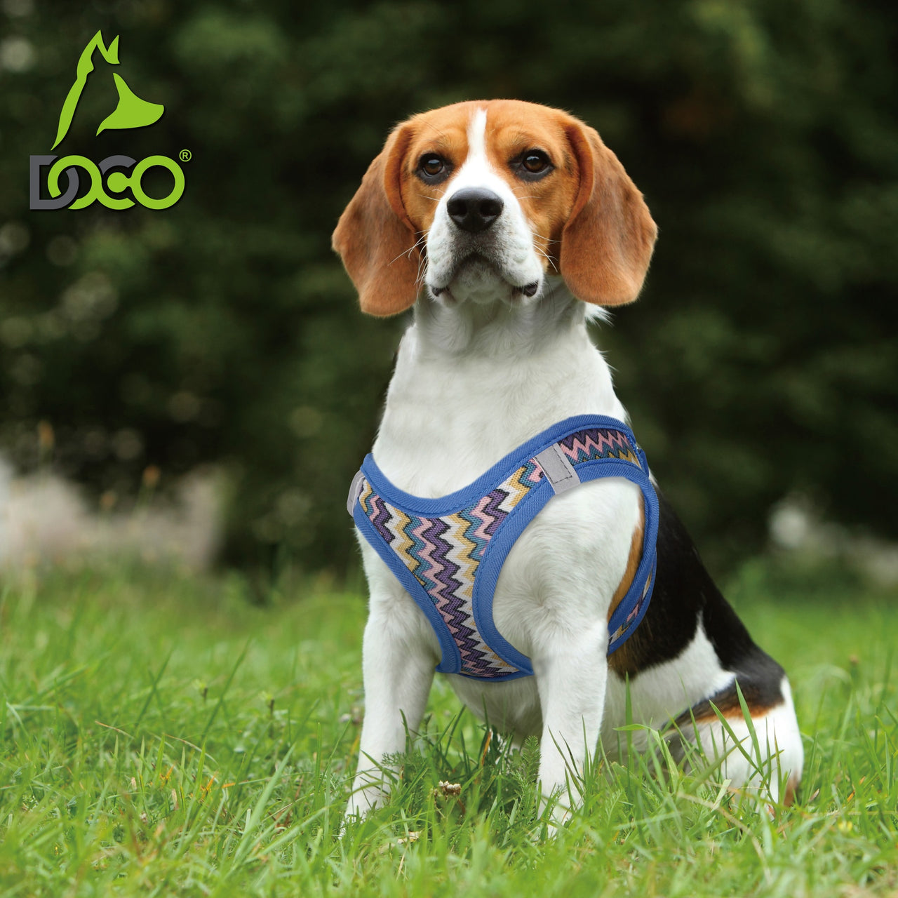 DOCO® Pattern Print Harness With 3D Foam Large-47-50cm / 7-9kg-Purple