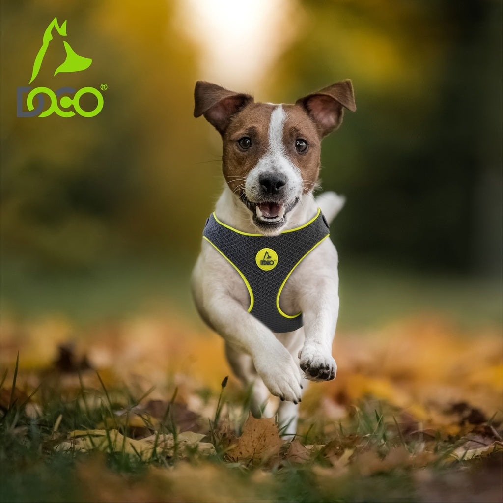 DOCO® Reflective Chest Plate Mesh Free- Walking Harness Medium-54 x 60-70cm-Turquoise