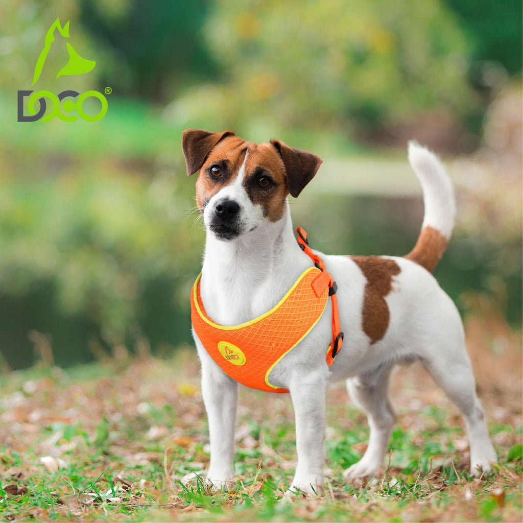DOCO® Reflective Chest Plate Mesh Free- Walking Harness Medium-54 x 60-70cm-Turquoise