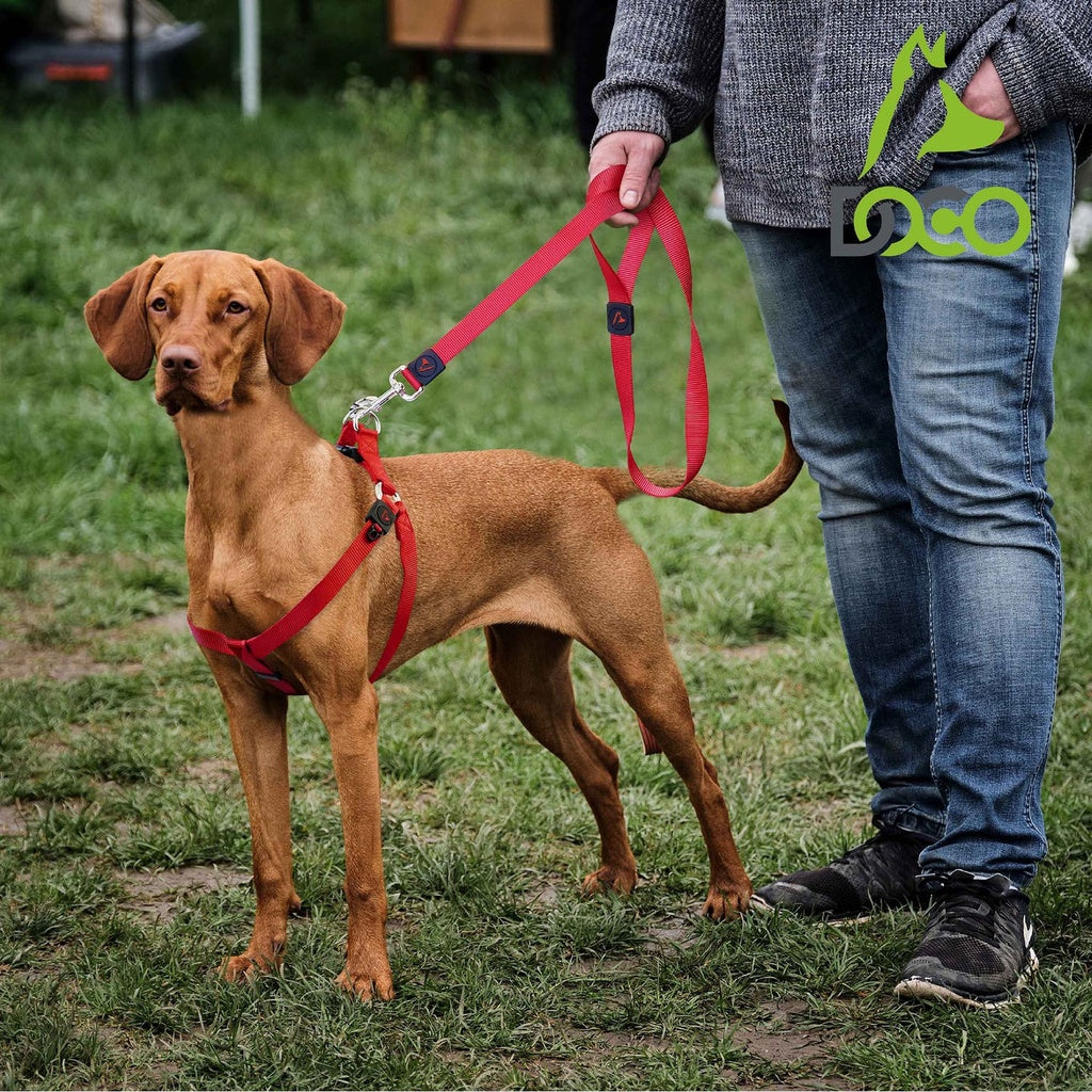 DOCO® Signature Nylon Leash - 6ft-1.0 x 180cm (XS)-Grey