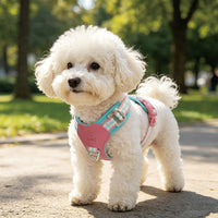 DOCO® Ultra-light Mesh Jacquard Harness- [Size - M]