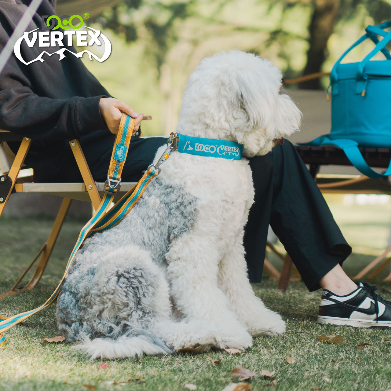 DOCO® VERTEX Reflective Ultralight Mesh Collar For Dogs-2.0 x 35-45cm-Salt Lake