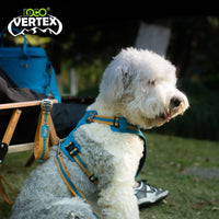 DOCO® VERTEX Reflective Ultralight Mesh Harness X.Large [Neck 58-69cm;Chest 72]-Iceland