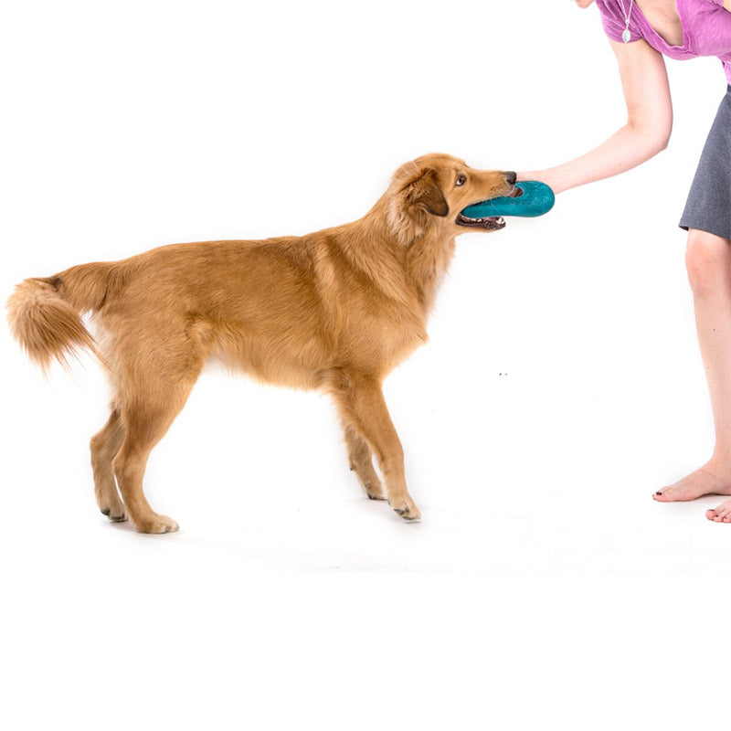 Westpaw Design Dash Dog Frisbee - peacock