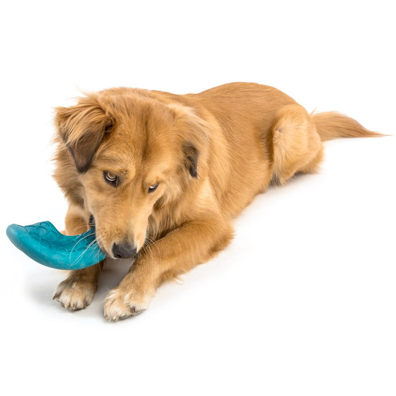 Westpaw Design Dash Dog Frisbee - peacock