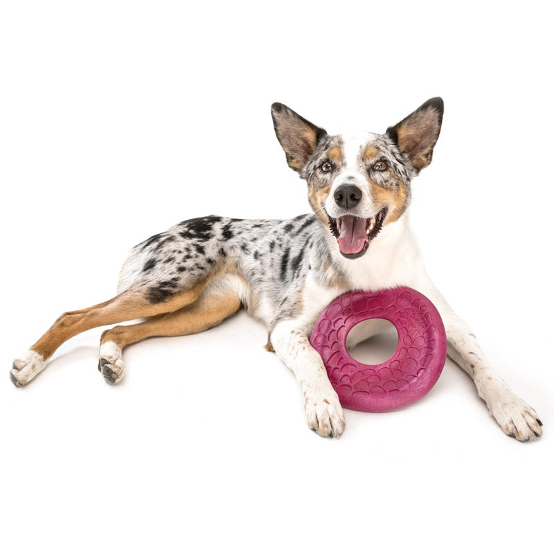 Westpaw Design Dash Dog Frisbee - currant