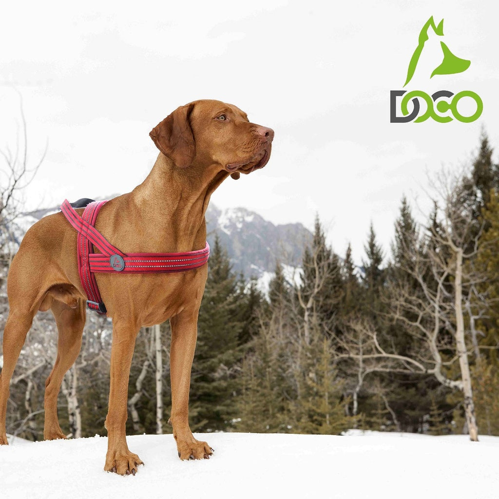 Doco Vario Neoprene Harness Reflective (DCV201)[Color - Orange, Size - M/L]