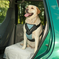 Thumbnail for Dog Auto Harness W/ Tether -X-Large