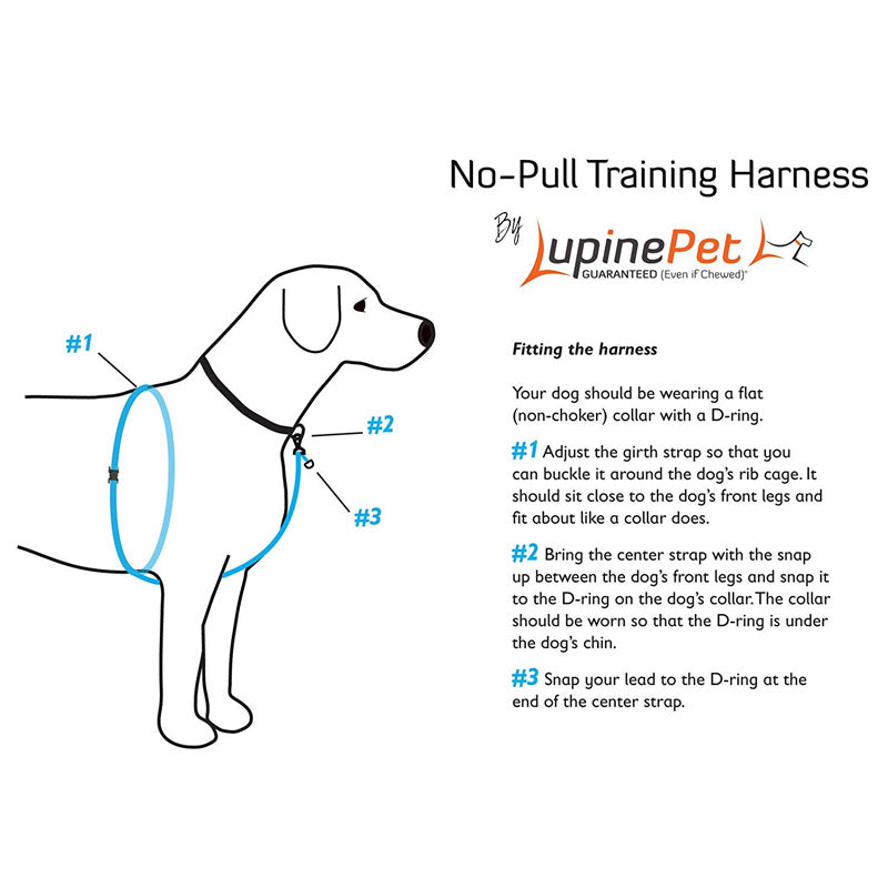Dog Basic Solids No Pull Harness - blue - 3/4" width - 16" -26"