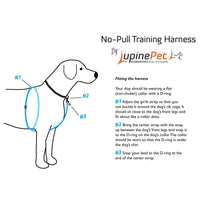 Dog Basic Solids No Pull Harness - blue - 3/4
