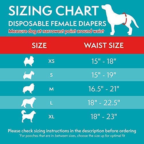 Disposable Diapers - XS