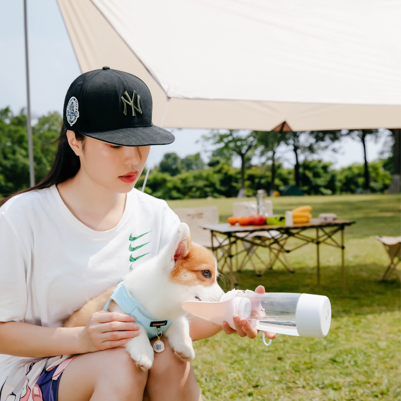 Dogness Water Bottle With Food Storage-Pink