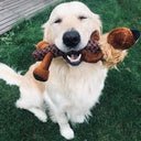 Duvo+ Zoo Friends Leo Lion Stick Brown - Dog Toy 32x22x11.5cm