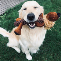 Duvo+ Zoo Friends Leo Lion Stick Brown - Dog Toy 32x22x11.5cm