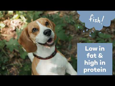 Duvo+ Chicken & Rawhide Small Bones[Weight - 1000g, Count - 86]