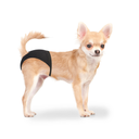 Duvo+ Dog Pants XS 18-23cm