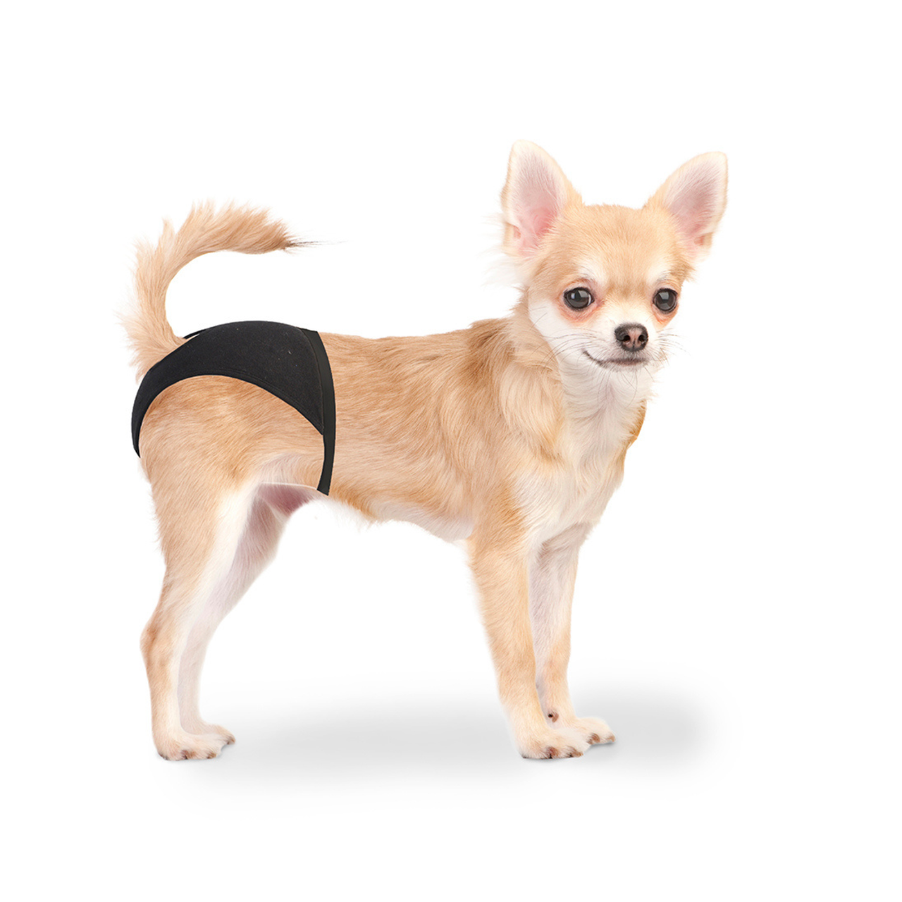 Duvo+ Dog Pants XS 18-23cm