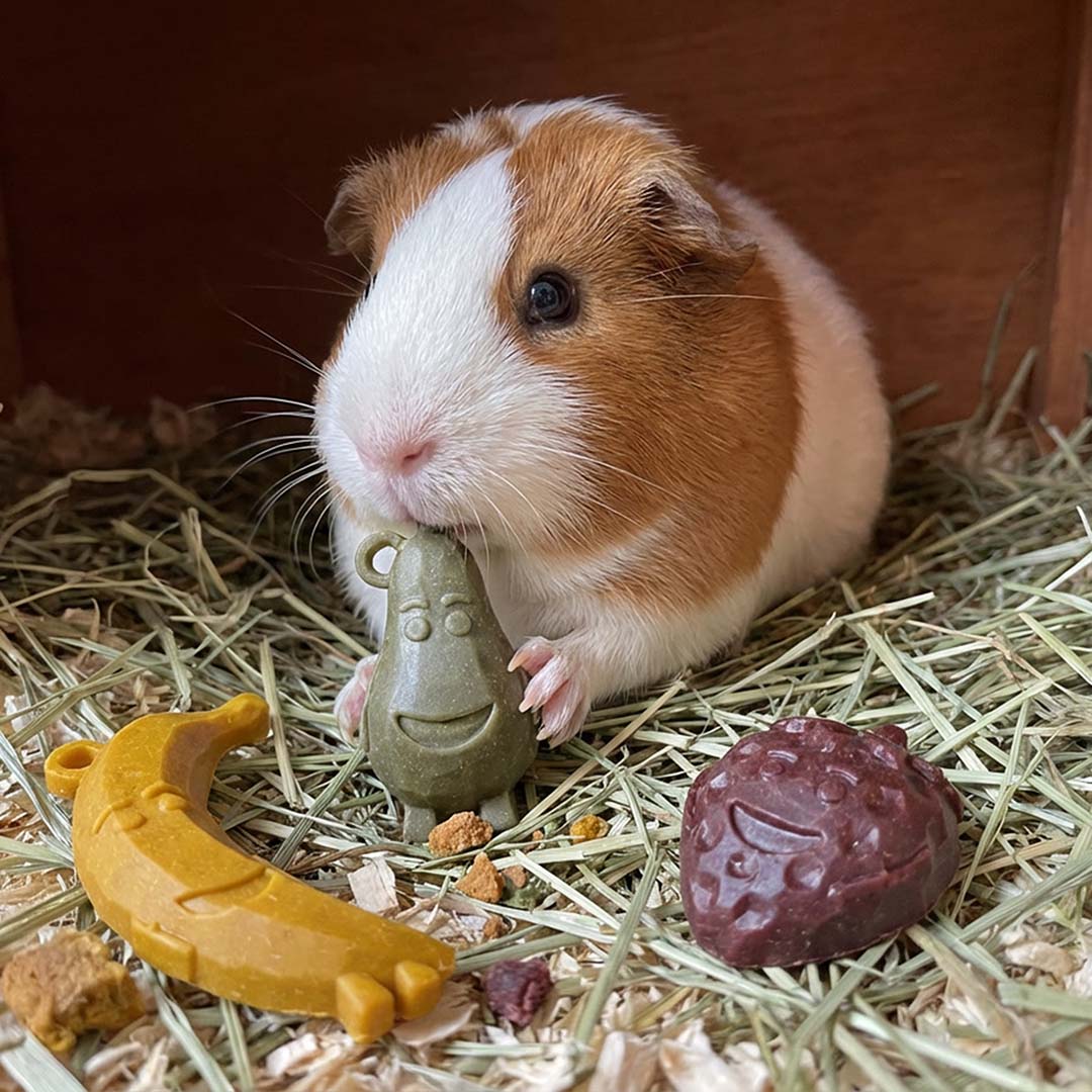 Duvo+ Garden Bites Fruity Friends For Small Animals - Mixed Colors-14cm-9pcs [76g]