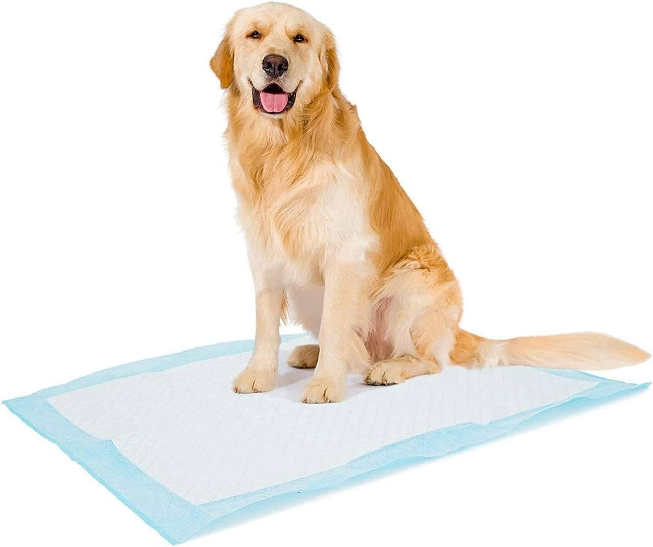 Duvo+ Pet Pad Premium Month Pack XL-60x60cm 30pcs
