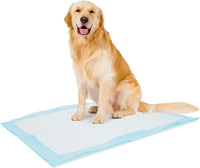 Duvo+ Pet Pad Premium Value Pack XL-60x60cm 50pcs