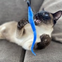 Duvo+ Playing Rod Catchy Snake Mix Mixed Colors - 45,5x2x1cm - Box Qty -16 Pcs