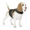 Duvo+ Safety Jacket Fluo Flash Medium Black
