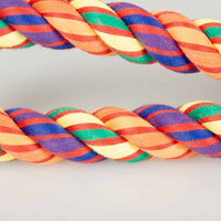 Duvo+ Tug Toy-Multicolour Cotton Rope loop With  5 knots-52x10x7cm