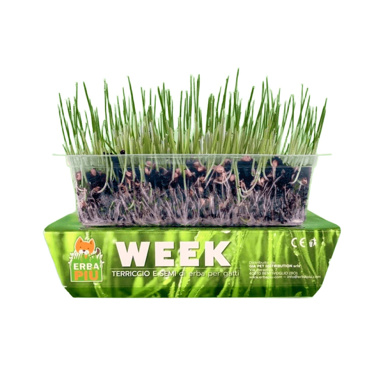 Erba Piu Week Soil and Seeds Kit for Cat Grass