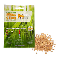 Thumbnail for Erba Piu Cat Grass seeds